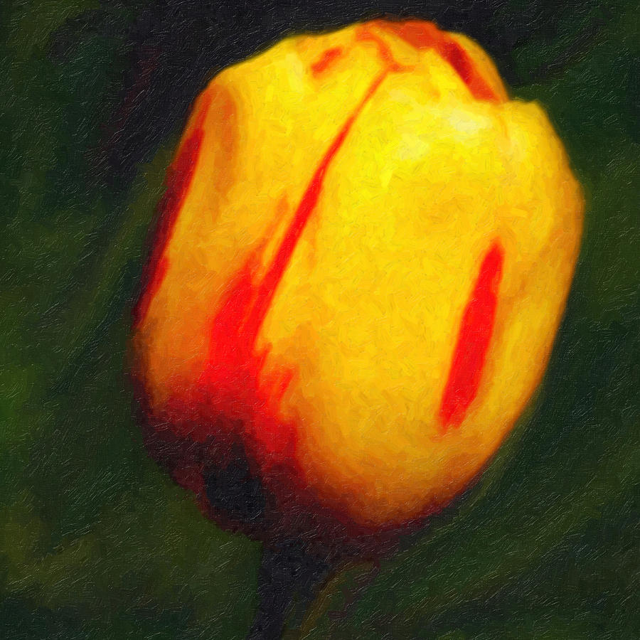 Spring Digital Art - Sunburst Tulip by Lyle  Huisken