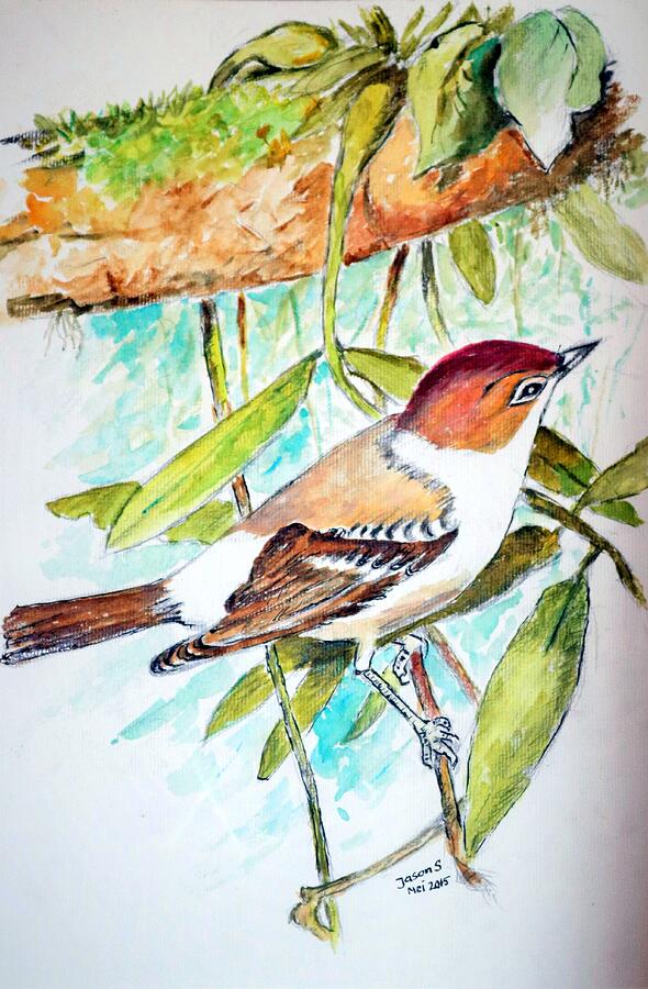 Sunda Flycatcher- Warbler Painting by Jason Sentuf