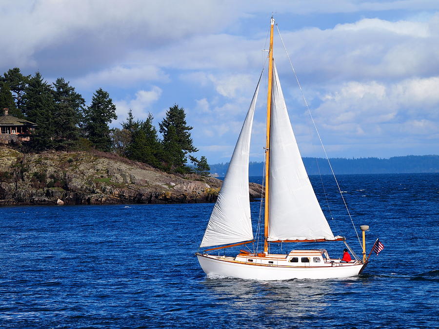 Sunday afternoon sail Photograph by Frieda Cron - Fine Art America