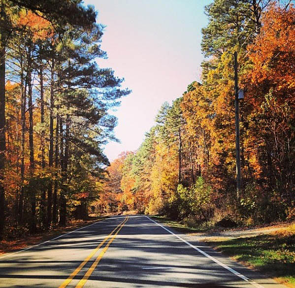 Fall Photograph - Sunday Drive by Aaron Martens