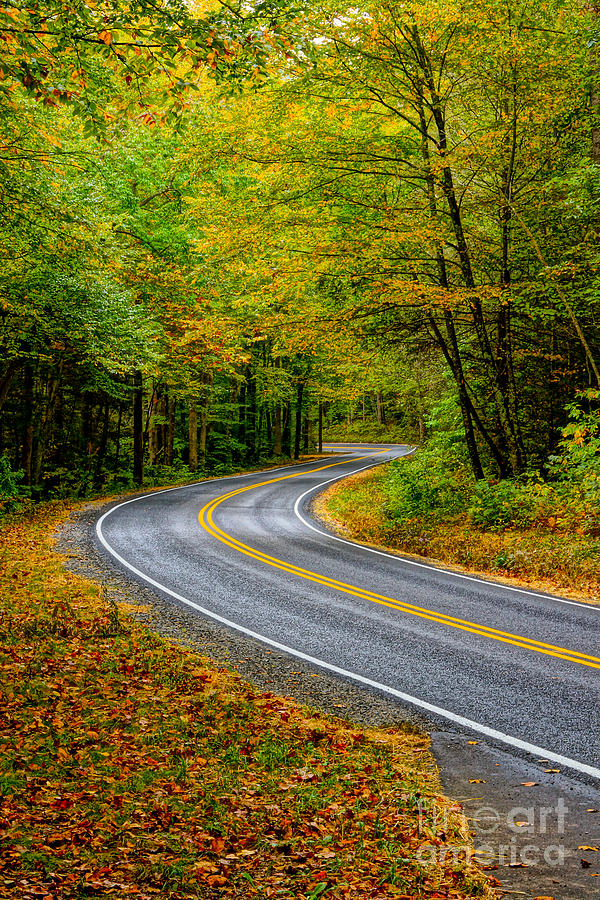 Sunday Drive Photograph by Matthew Trudeau | Fine Art America