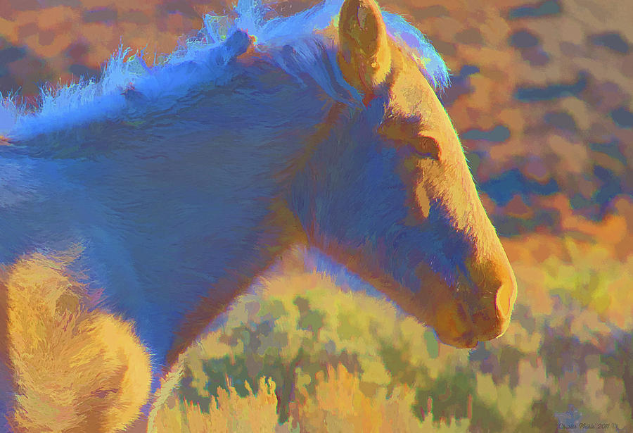 Horse Digital Art - Sunday morning at the Red willows by Charles Muhle