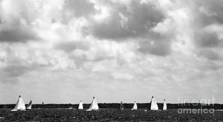 Sunday Regatta in BW Photograph by Mary Haber