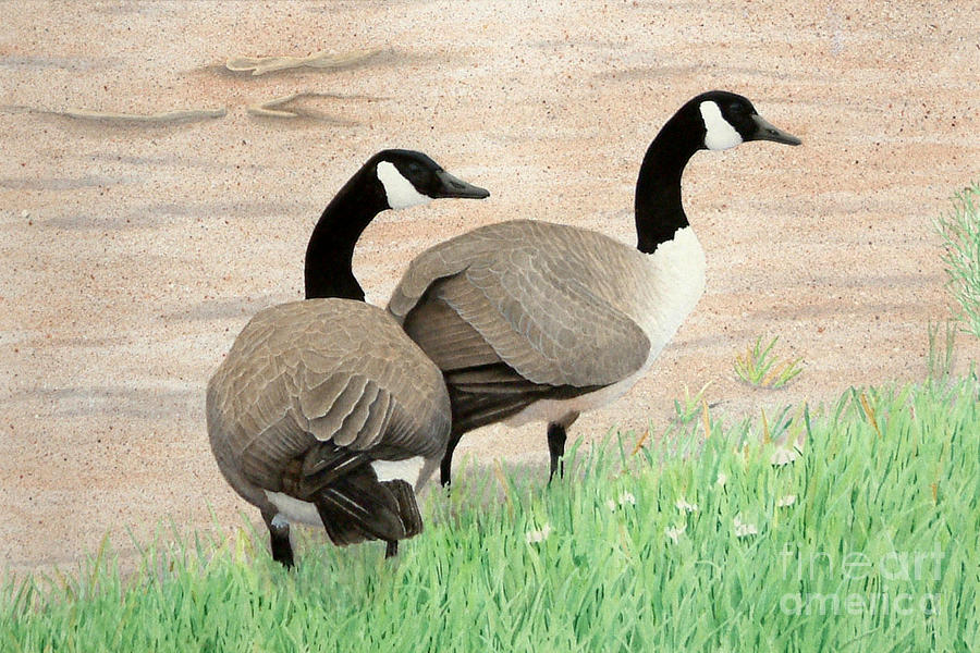 Geese Painting - Sunday Stroll by Vivian Bound Geese Painting - Sunday Stroll by Vivian Bound