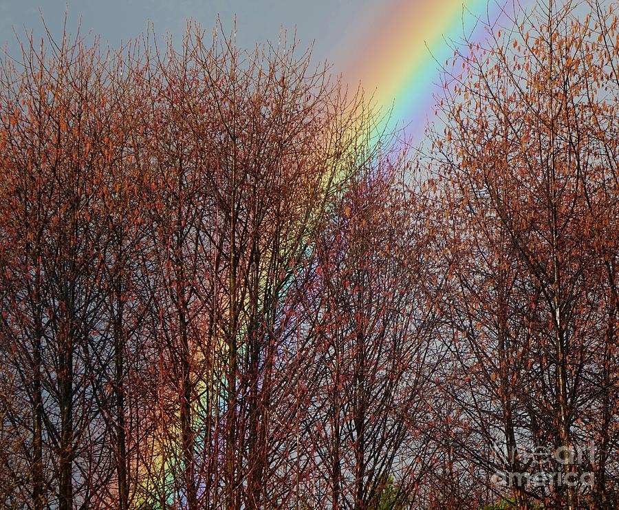 Sundays Rainbow Photograph by Laura  Wong-Rose