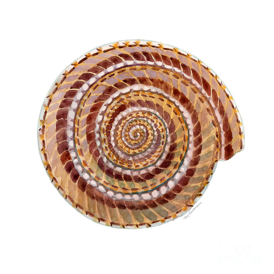 Sundial Shell Painting