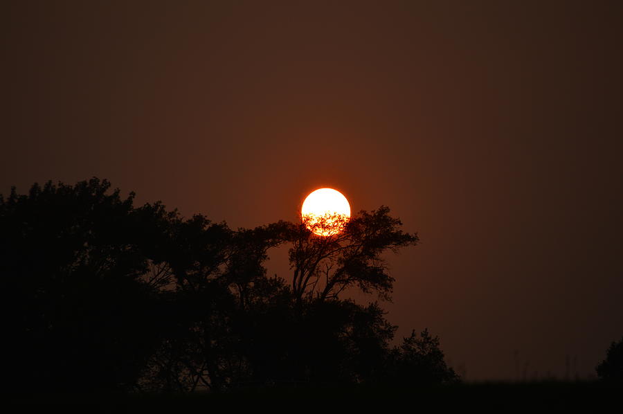 Sundown Photograph by Deborah Weinhart - Fine Art America