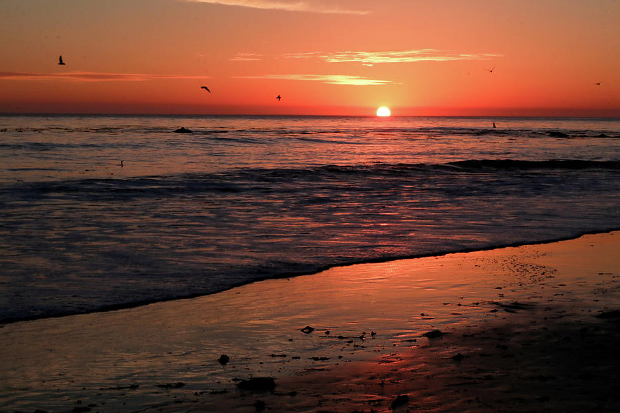 Sundown in Santa Cruz in California Photograph by Dr Janine Williams