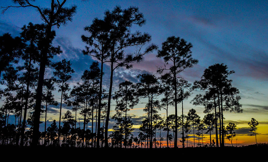 Sundown Photograph by Julie Reed - Fine Art America