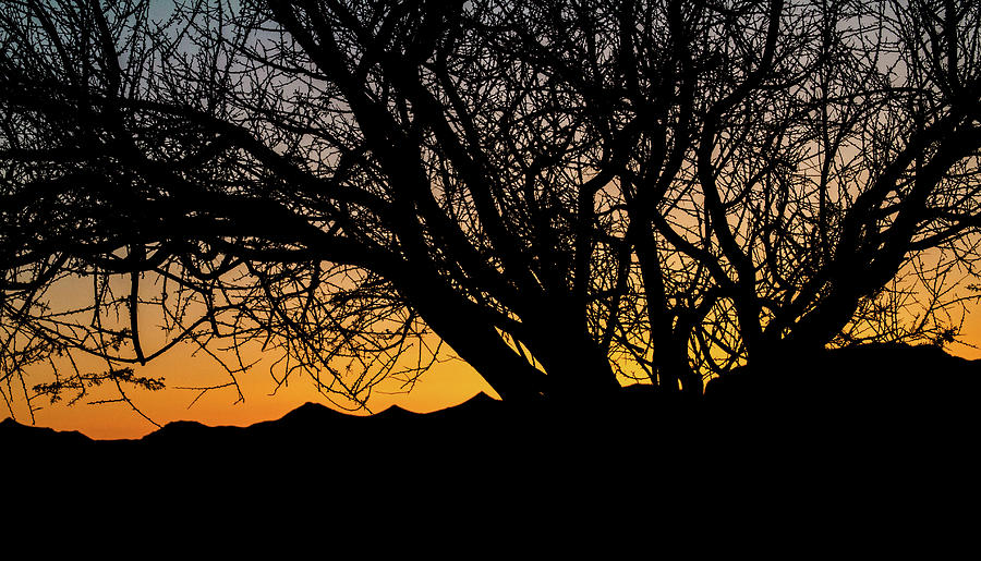 Sundown Silhouette Photograph by Bonnie Follett