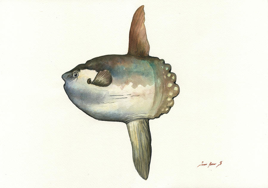 sunfish painting