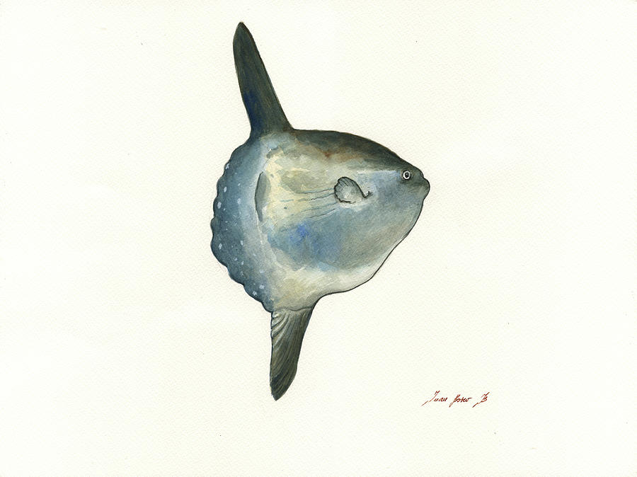 Saltwater Fish Painting - Sunfish watercolor by Juan Bosco