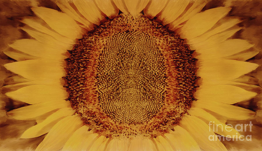Sunflower 01  Painting by Gull G