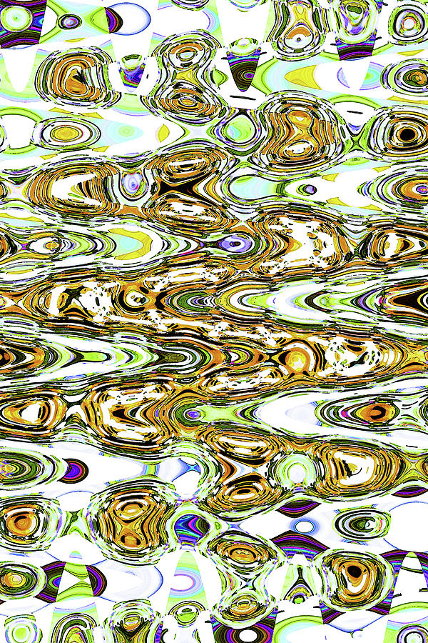 Sunflower #0564 Abstract Digital Art by Tom Janca