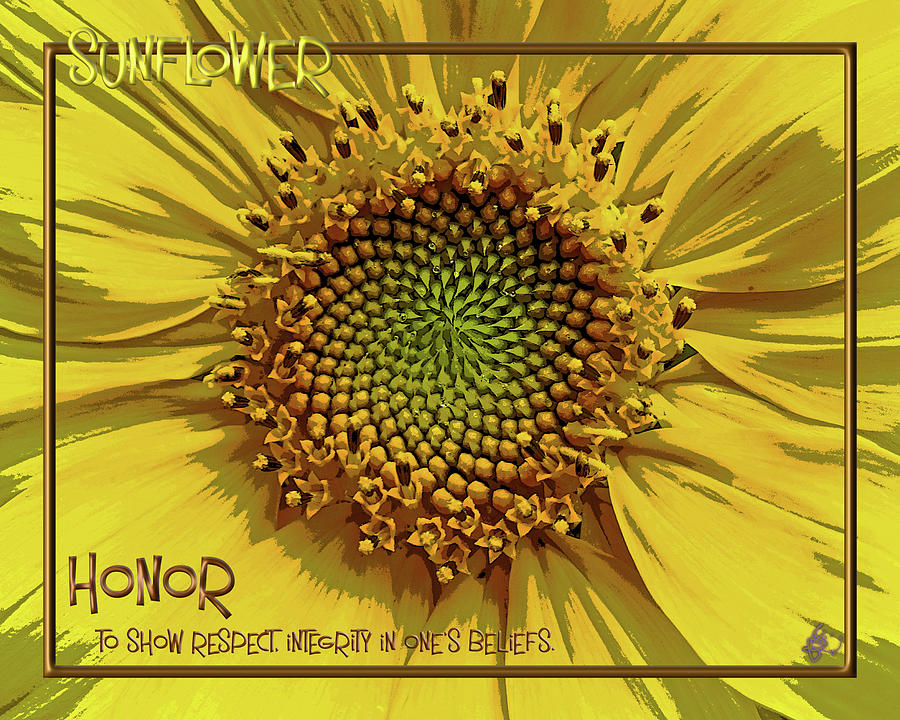 Sunflower 2 Honor Digital Art by Judy Fry Sunflower 2 Honor Digital Art by Judy Fry