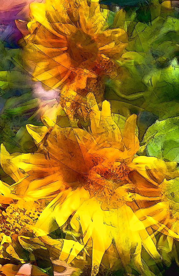Flower Photograph - Sunflower 6 by Pamela Cooper