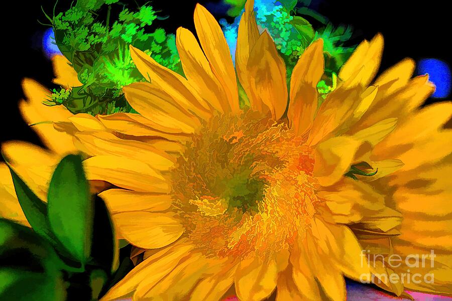 Sunflower Abstract Photograph by Diana Mary Sharpton