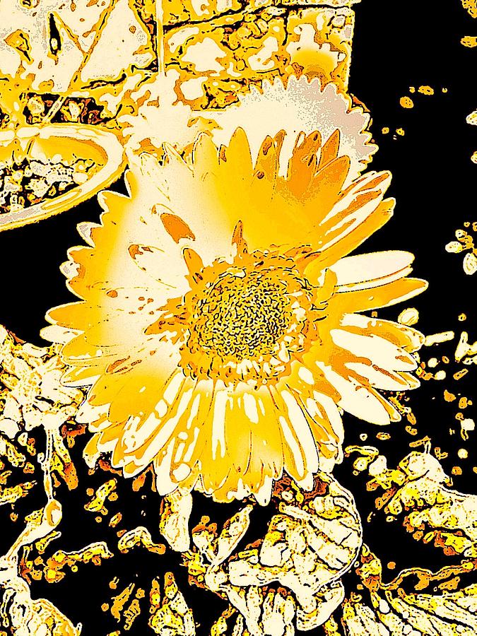 Sunflower Photograph - Sunflower Abstract by Elizabeth Tillar