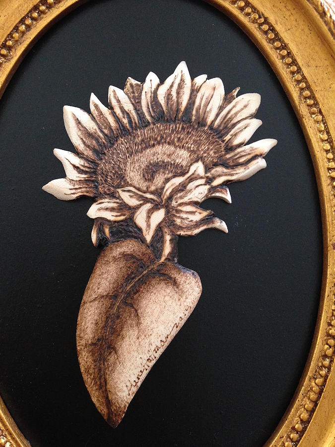 Sunflower Pyrography By Aline Hoffman