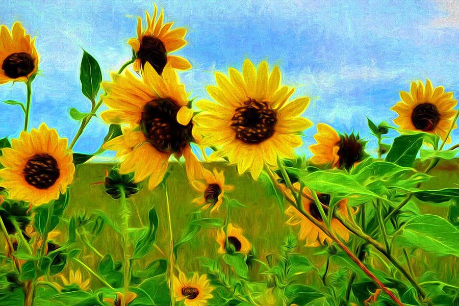 Sunflower Along the Road Painting by Mitchell R Grosky