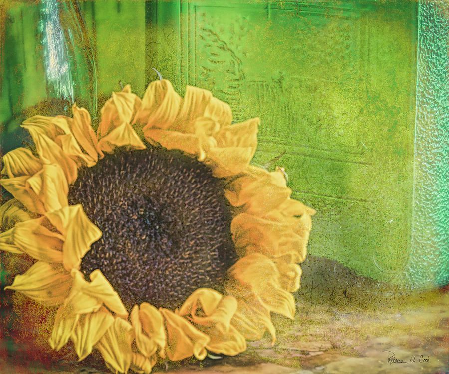 Sunflower And Green Glass Photograph by Bellesouth Studio
