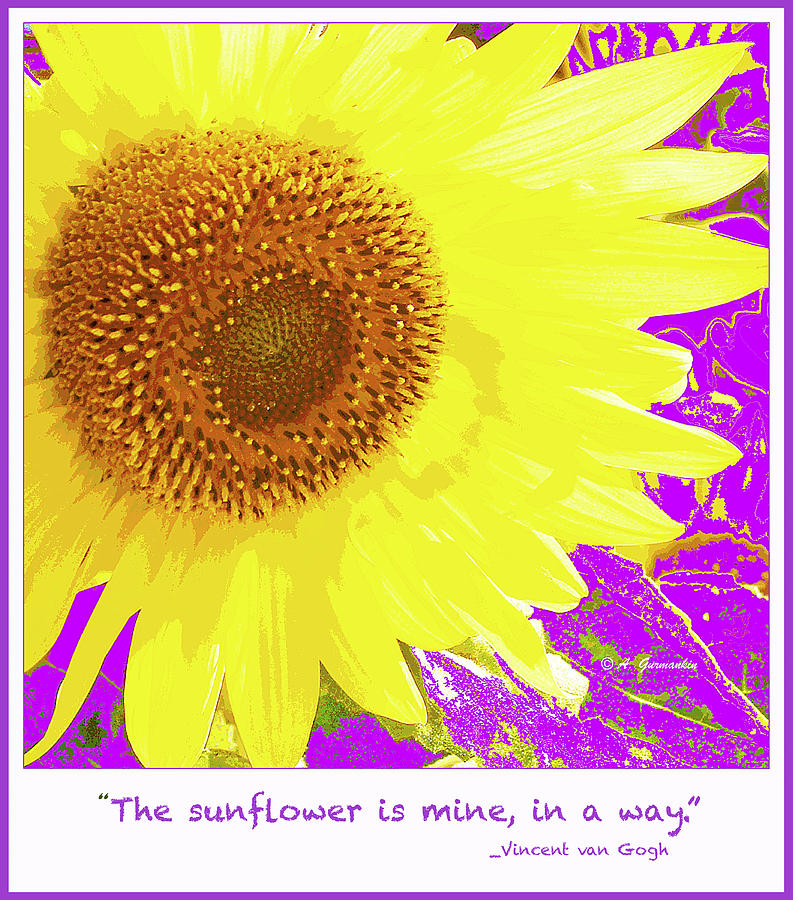 Sunflower and Van Gogh Quotation Digital Art by A Macarthur Gurmankin