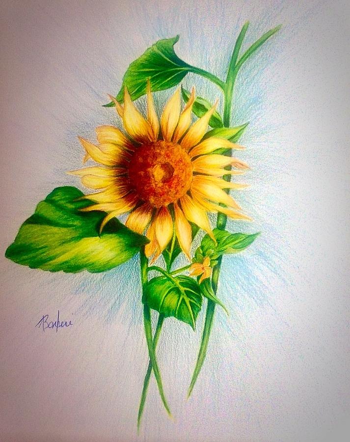 Sunflower Drawing Stock Illustrations – 22,824 Sunflower Drawing Stock  Illustrations, Vectors & Clipart - Dreamstime