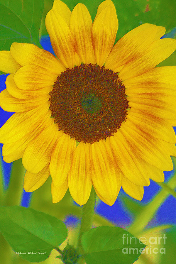 Sunflower Art Photograph by Deborah Benoit