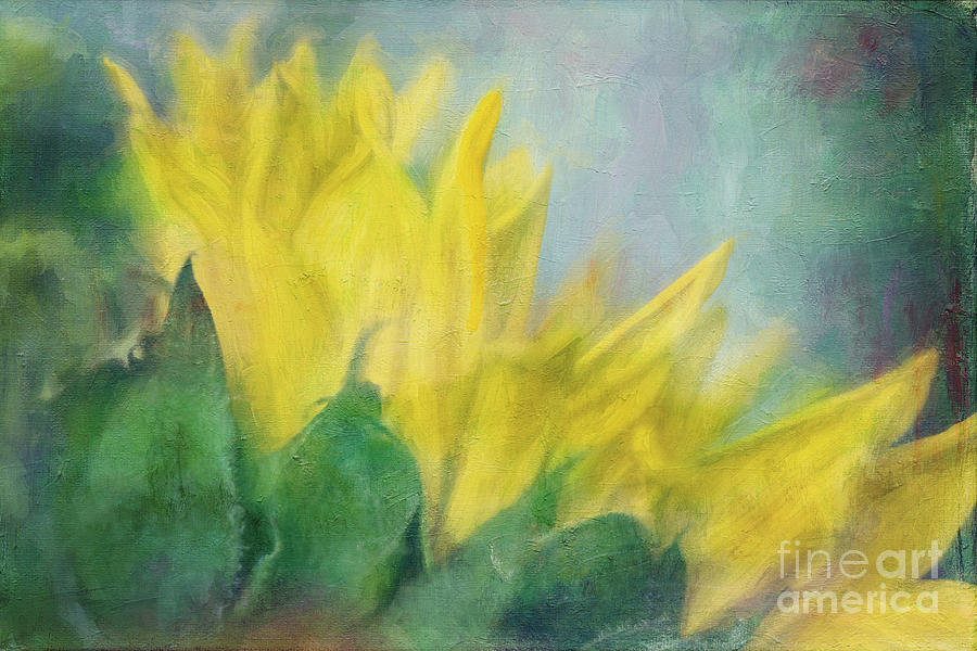 Sunflower Art Digital Art by Jayne Carney