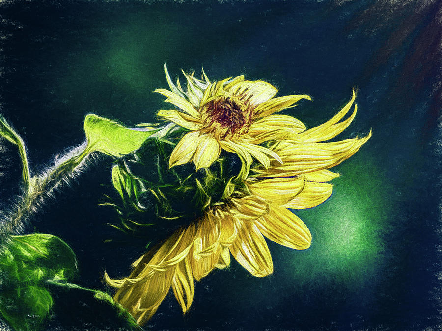 Sunflower At Sunrise Painting