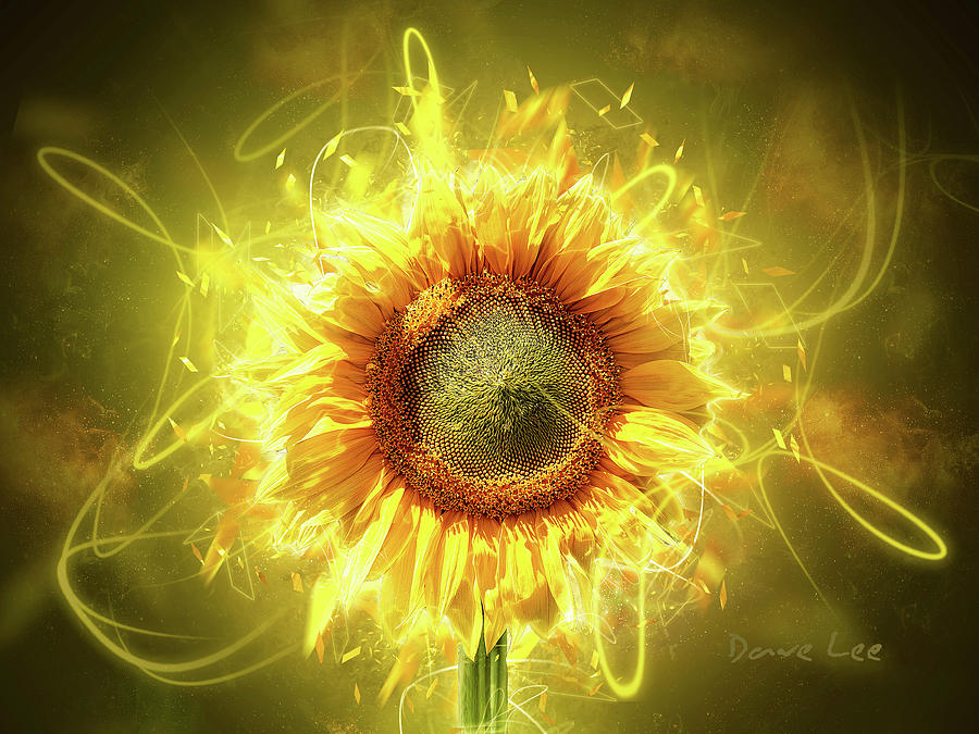 Sunflower Awakening Digital Art by Dave Lee