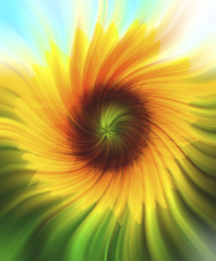 Nature Photograph - Sunflower Beams 2 by Terry DeLuco