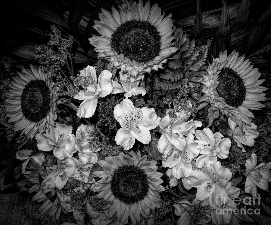 Sunflower Bouquet Dramatic Black and White Photograph by Rose Santuci-Sofranko