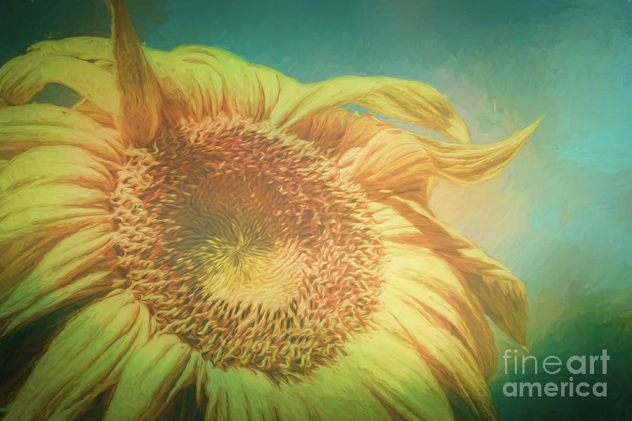 Sunflower Painting - Sunflower Breeze by Janice Pariza