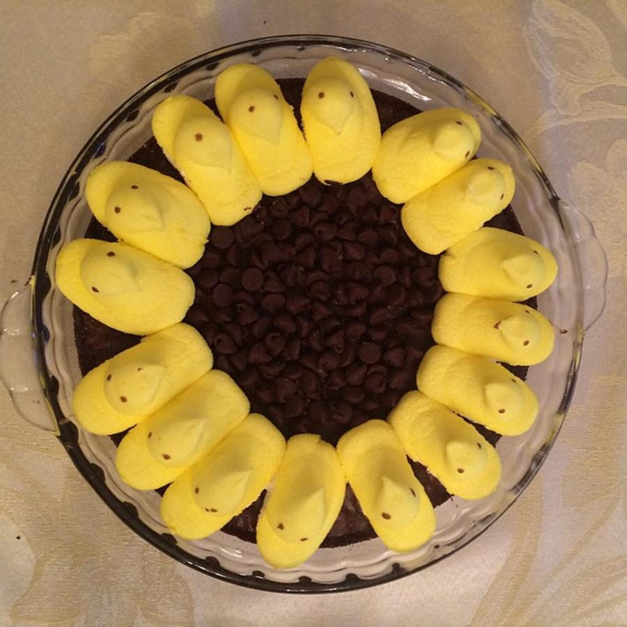 Sunflower Brownie 💛🌻 #easter2015 Photograph by Kelly Cutrone