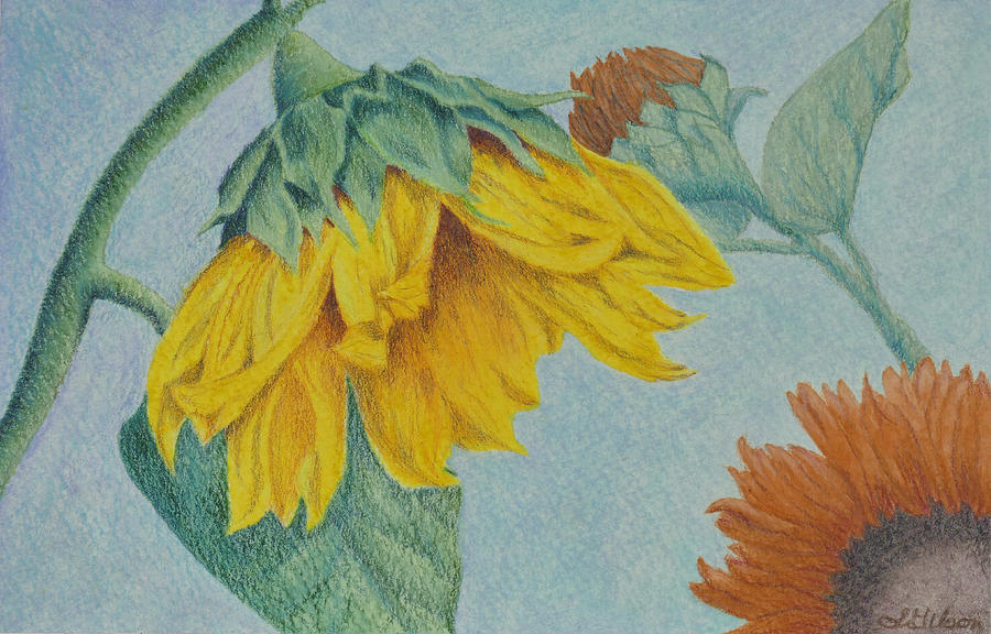 Floral Arrangements Painting - Sunflower Buddies by Lisa Gibson Art Floral Arrangements Painting - Sunflower Buddies by Lisa Gibson Art