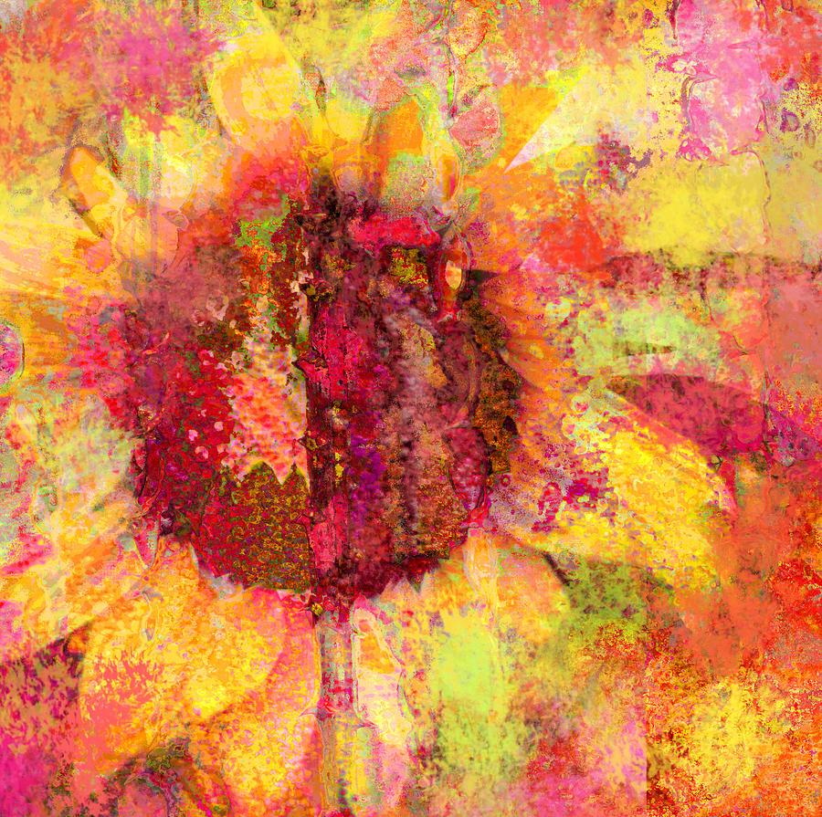 Sunflower Burst In Pink Photograph by Suzanne Powers