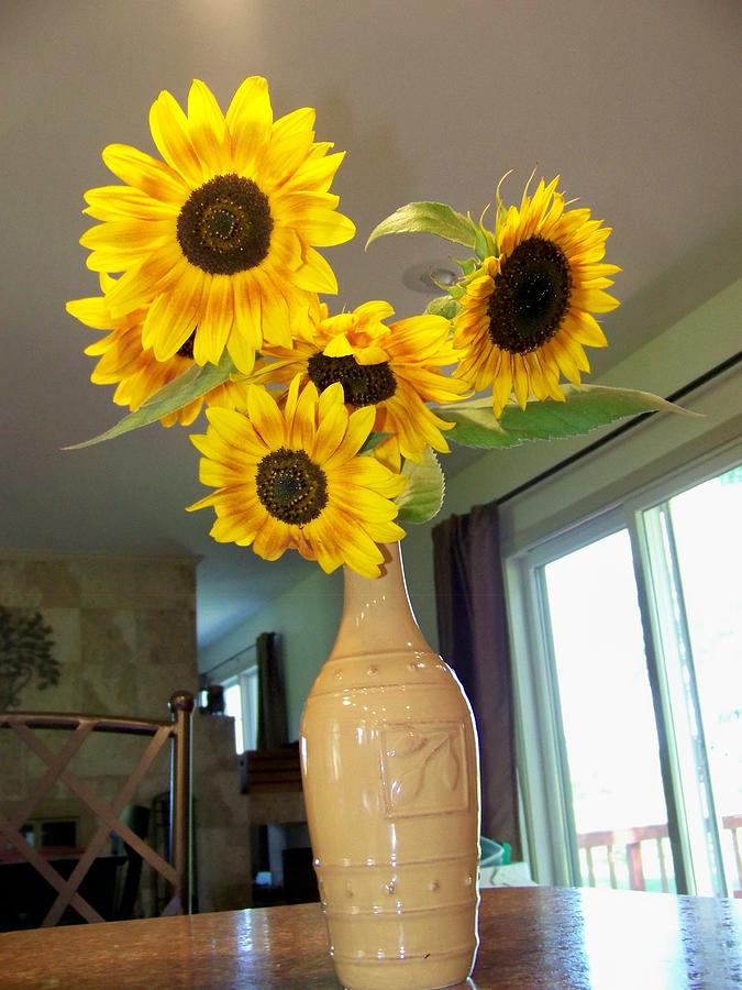 Sunflower centerpiece Photograph by Greg Hendersgot - Fine Art America