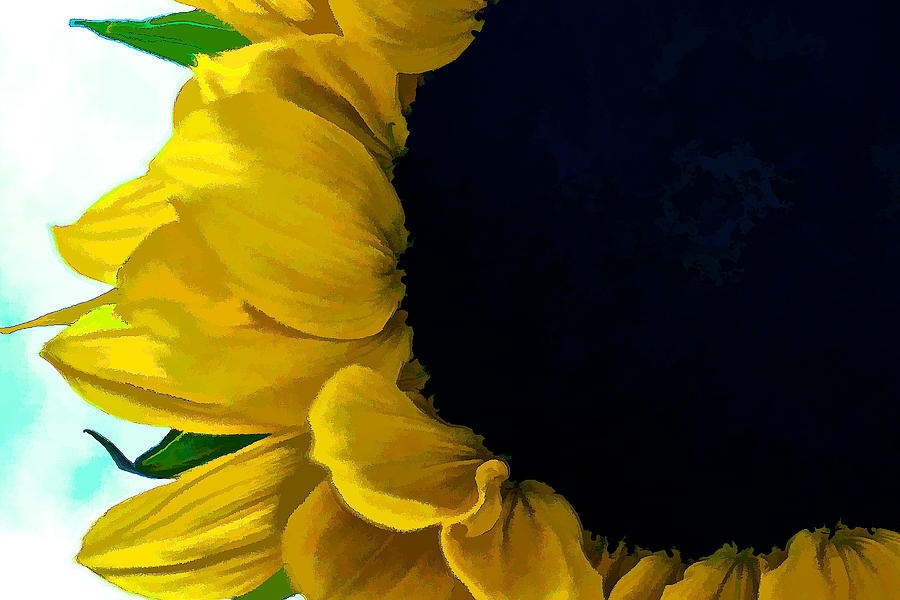 Sunflower Digital Art by Charles Muhle