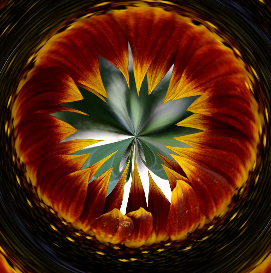 Sunflower Circle Digital Art by Cheryl Charette