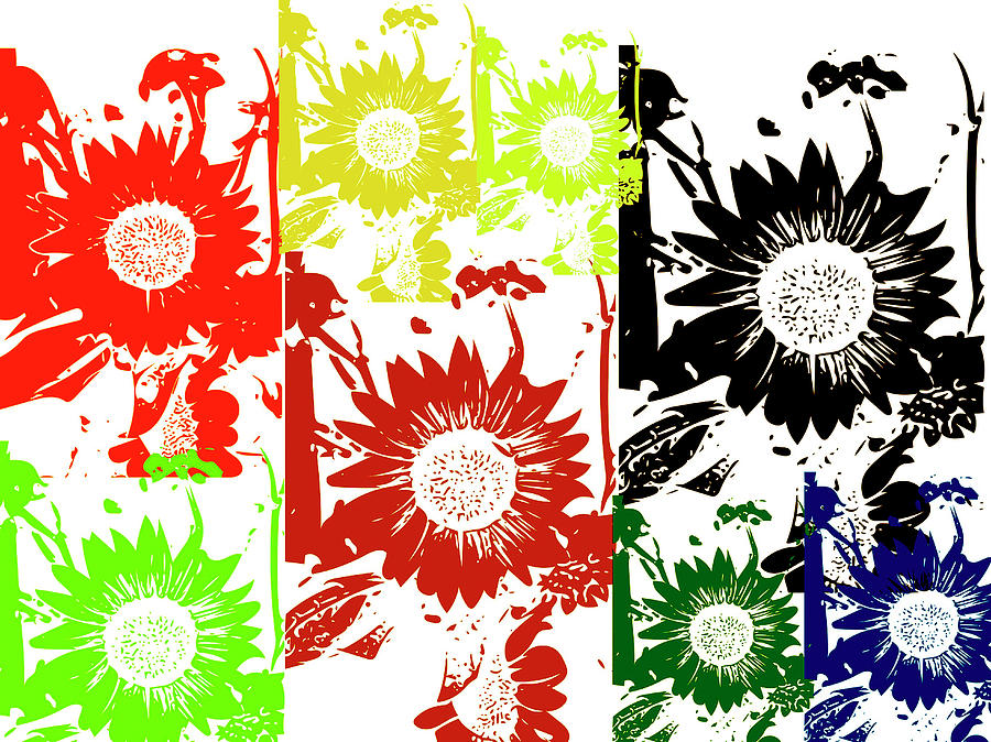 Sunflower Collage Digital Art by Collette Rogers