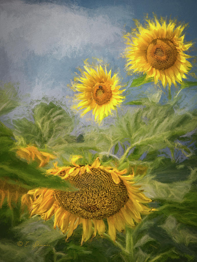 Sunflower Dance Digital Art by Erwin Spinner