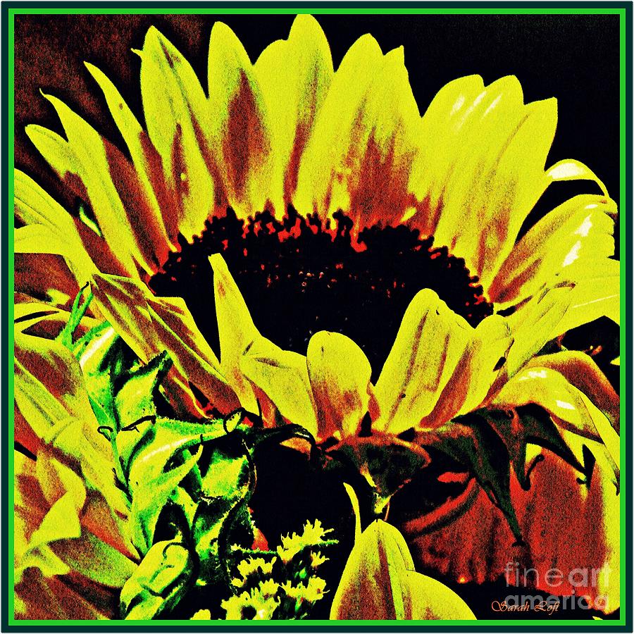 Sunflower Decor 8 Photograph by Sarah Loft
