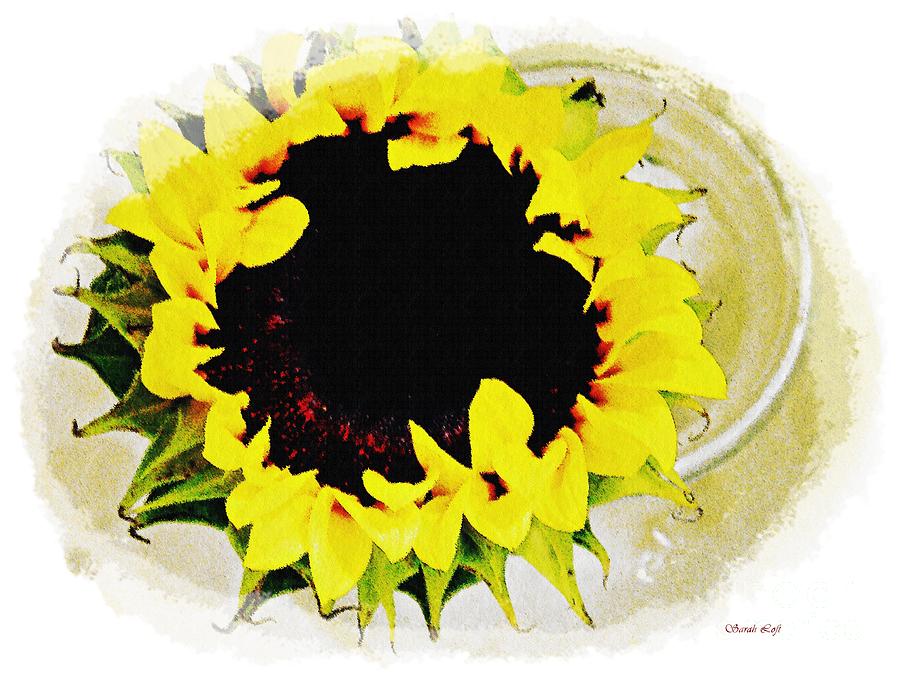 Sunflower Decor Photograph by Sarah Loft