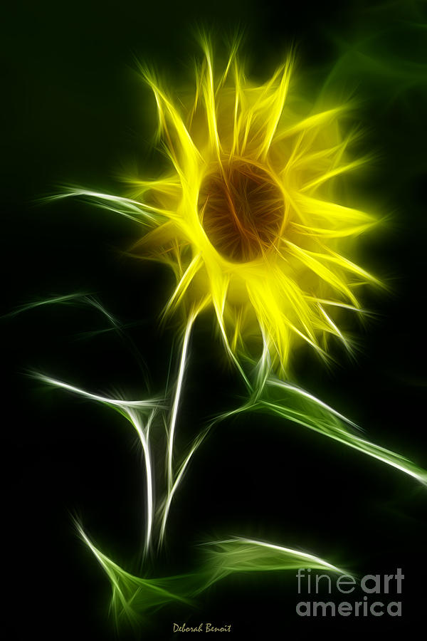Sunflower Display Photograph by Deborah Benoit