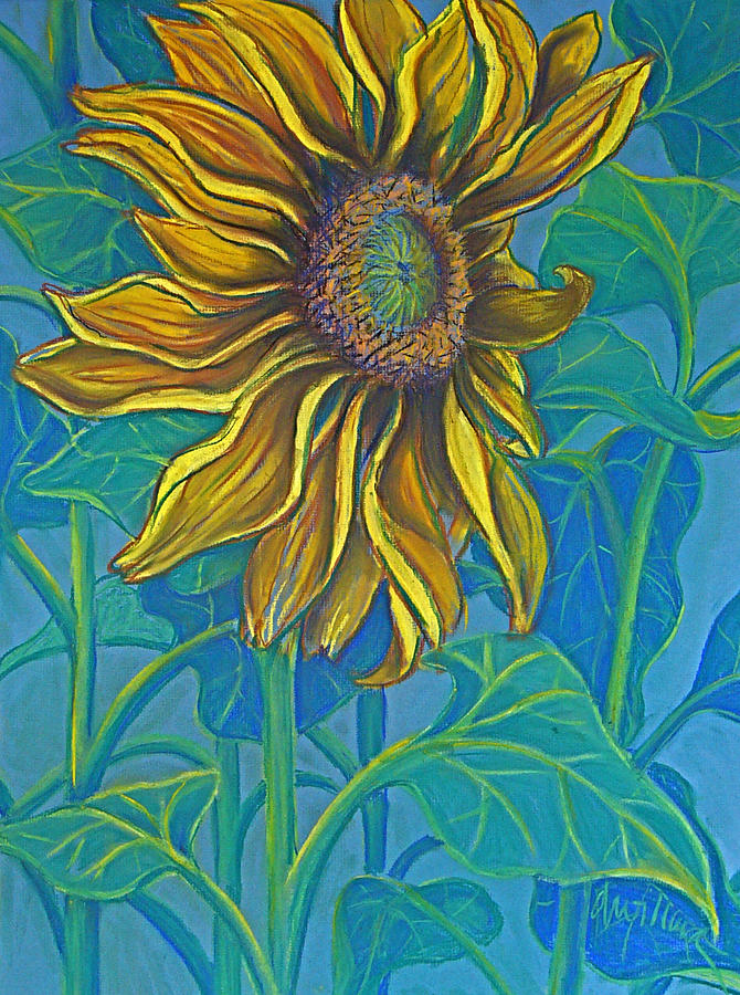 Sunflower Drawing In Pastel Pastel by Deborah Willard