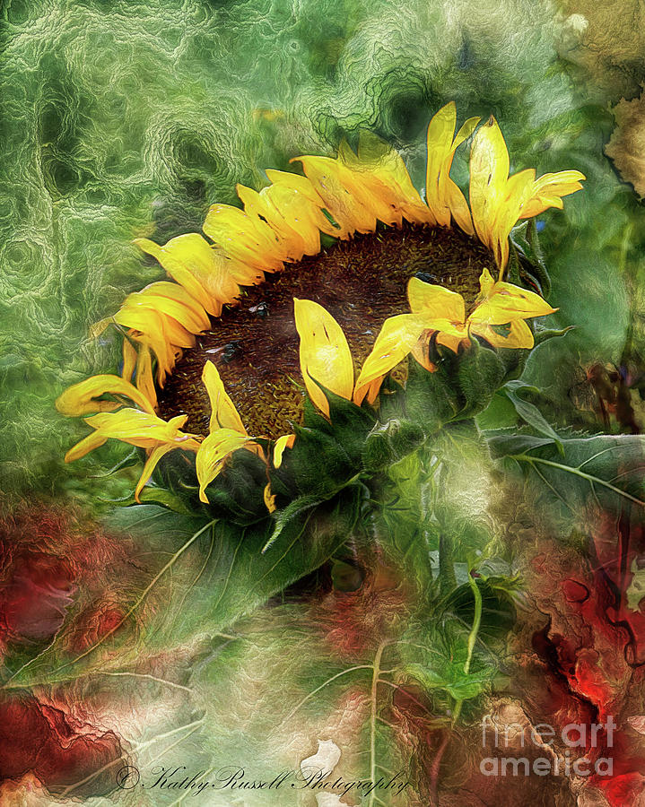Sunflower Dreams Digital Art by Kathy Russell