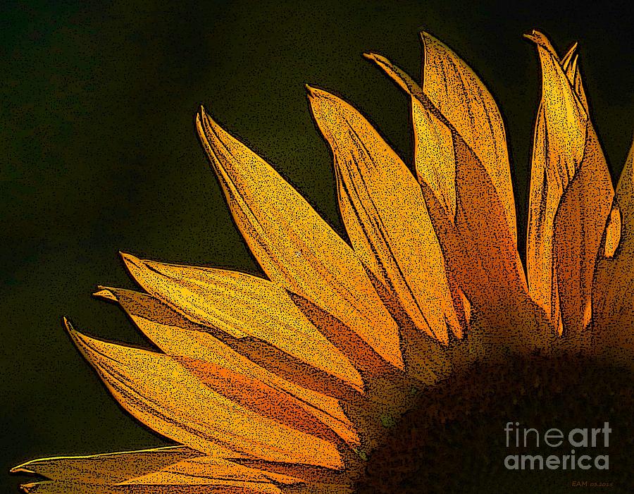 Sunflower Digital Art by Elizabeth McTaggart