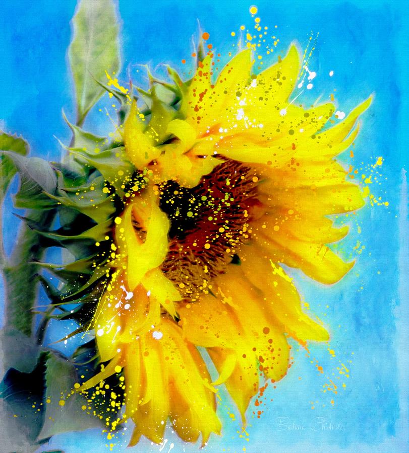 Sunflower Essence Painting by Barbara Chichester