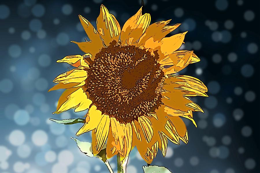 Sunflower Fantasy Photograph by Alison Frank